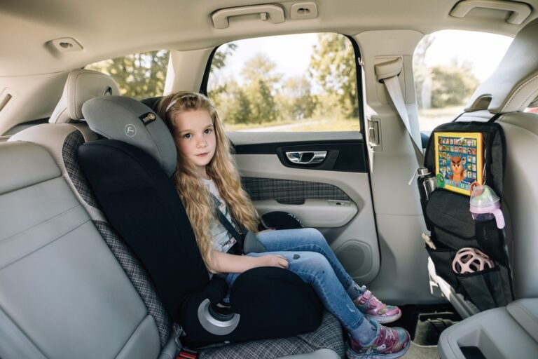FREEON zaštita za vozačevo sjedalo DeLuxe i organizator za sjedalo automobila black 64043